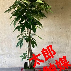 光触媒 人工観葉植物 ウォールグリーン フェイクグリーン パキラ90-