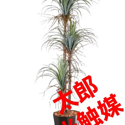 高品質の人気 人工観葉植物 光触媒 光触媒 人工観葉植物 ウォール