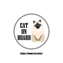 全8色 名前入り CAT ON BOARD バーマン ポップアート マグネット 1枚目の画像