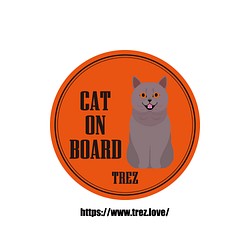 全8色 名前入り CAT ON BOARD ブリティッシュショートヘア ポップアート マグネット 1枚目の画像