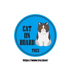 全8色 名前入り CAT ON BOARD エキゾチック ショートヘア ポップアート マグネット 1枚目の画像