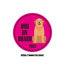 全8色 名前入り DOG ON BOARD ゴールデンレトリバー ポップアート マグネット 1枚目の画像