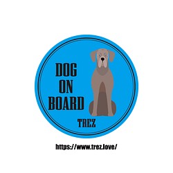 全8色 名前入り DOG ON BOARD グレートデーン ポップアート マグネット 1枚目の画像