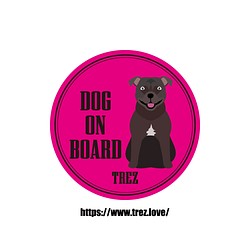 全8色 名前入り DOG ON BOARD スタッフォードシャーブルテリア ポップアート マグネット 1枚目の画像