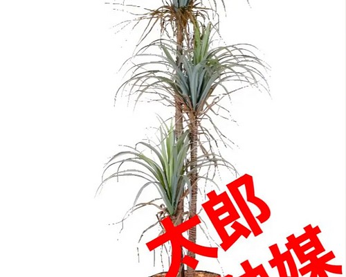 光触媒 人工観葉植物 ウォールグリーン フェイクグリーン フラワー