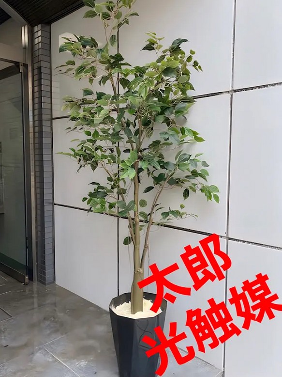 日本産 光触媒 人工観葉植物 ウォールグリーン フェイクグリーン