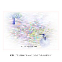 「風との話」カワセミ 鳥 川　ほっこり癒しのイラストポストカード2枚組No.053 1枚目の画像