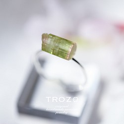 TROZOの販売中作品一覧 | ハンドメイド通販・販売のCreema