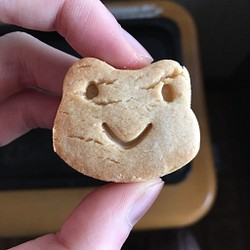 笑う蛙　クッキー　型 1枚目の画像