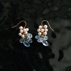fusa : Aquamarine, Pearl（earring） アクアマリンとパールの房の耳飾り 1枚目の画像