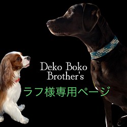 オーダーページ 大型犬リード www.gastech.com.tr