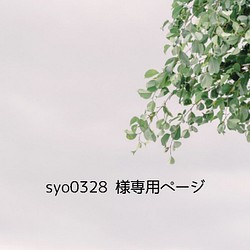 syo0328様 専用ページ 1枚目の画像