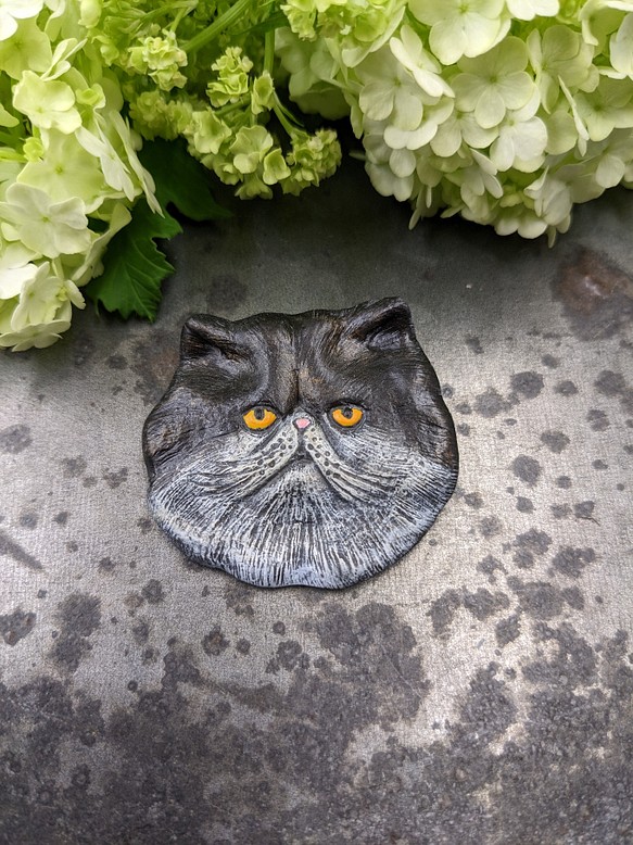 鼻ぺちゃ猫のブローチ〈樹脂粘土〉 1枚目の画像
