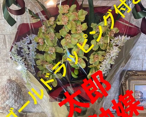 壁掛け♯ガラス♯花瓶♯盆栽光触媒 人工観葉植物 ウォールグリーン