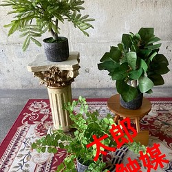 光触媒 人工観葉植物 ウォールグリーン フェイクグリーン 3種セット ...