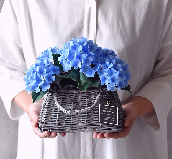 ◆粘土のお花◆　紫陽花　ライトブルー　グレーバスケット　A796 1枚目の画像