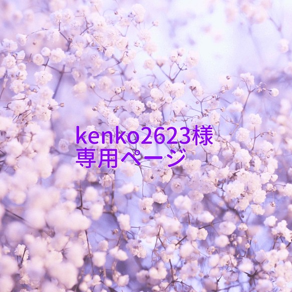 【kenko2623様専用ページ】 1枚目の画像