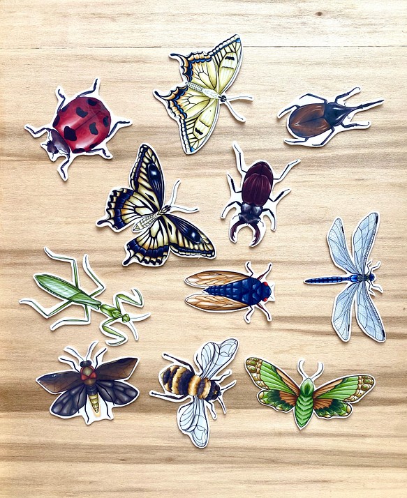 Insect Sticker Set (11 piece) - 虫のシールセット(11枚） 1枚目の画像