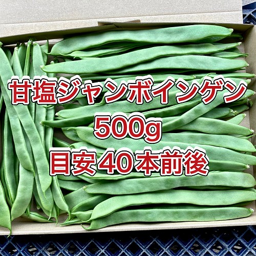 鹿児島産】甘塩ジャンボインゲン箱込み500g^_^ 野菜 ファミリー農美家