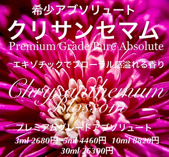 クリサンセマムアブソリュート10ml その他素材 EarthshareAroma日祝