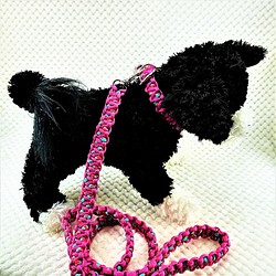 [公式]マクラメ編み＃170サイズ調節可能ワンタッチ着脱　小型犬用リードセット 1枚目の画像