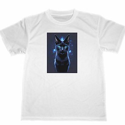 黒猫　ドライ　Tシャツ　ネコ　アニマル　グッズ　イラスト　アート 1枚目の画像