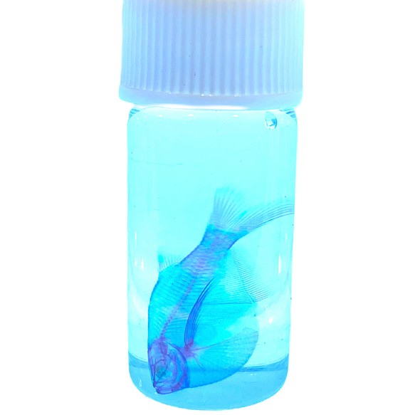 透明標本　シルバーハチェット　瓶の高さ3cmから5cm程度 1枚目の画像