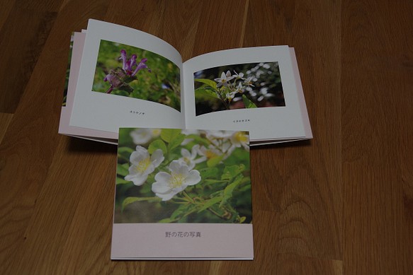 フォトブック「野の花の写真」 1枚目の画像
