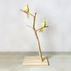 【流木の止まり木】鳥 大型バードスタンド 高さ約85cm ツリー型　インコ止まり木 1枚目の画像