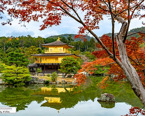 送料無料】A4～A0版アート絶景写真「京都府 - 秋の金閣寺」 写真 