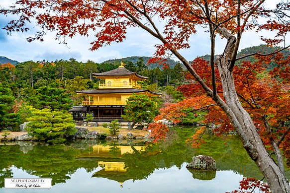 【送料無料】A4～A0版アート絶景写真「京都府 - 秋の金閣寺」 1枚目の画像