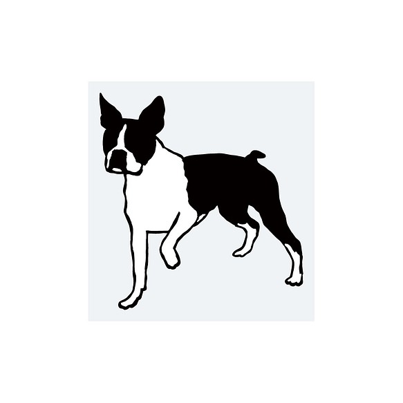 犬ステッカー　ボストンテリア2（重ね貼りタイプ） 1枚目の画像