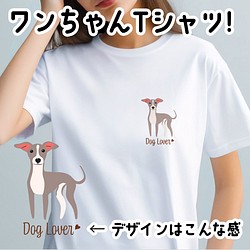 【 イタリアングレーハウンド シンプル柄 毛色4色】  Tシャツ　おしゃれ　かわいい　犬　ペット　うちの子　プレゼント 1枚目の画像