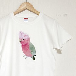 【新作】 p-jet モモイロインコ Tシャツ / 鳥 インコ 新作WEEK2023