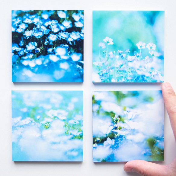 SQU4RE-Square- [Nemophila Blue] 為您的新生活上色的室內照片 第1張的照片