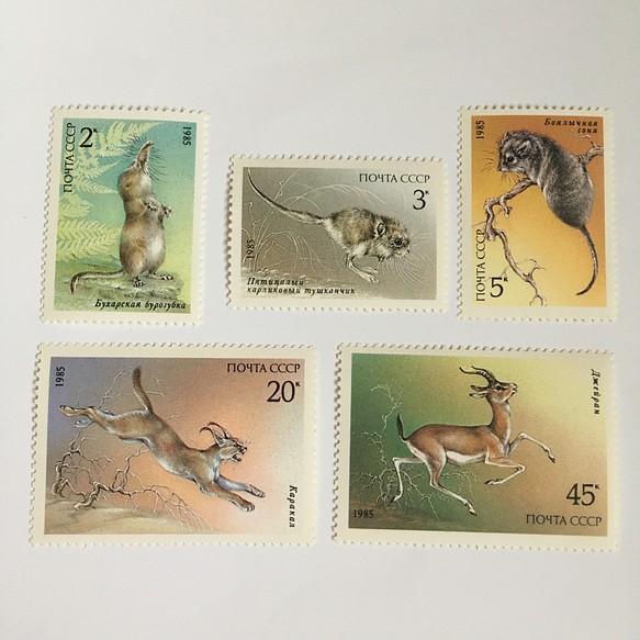 ソビエト  野生動物の切手5枚セット 未使用 1枚目の画像
