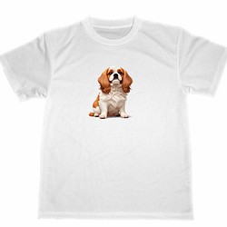 キャバリア　ドライ　Tシャツ　ペット　イラスト　グッズ　犬　Cavalier dog dry T-shirt 1枚目の画像