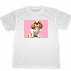 キャバリア　ドライ　Tシャツ　２　ペット　イラスト　グッズ　犬　Cavalier dog dry T-shirt 1枚目の画像