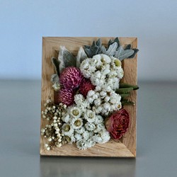 ドライフラワー フレーム：ピンクと白いお花＆シルバーグリーン / ミニサイズ 1枚目の画像
