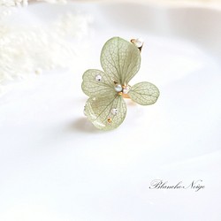 新緑の紫陽花イヤーカフ(S) 1枚目の画像