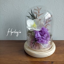 お供え花 White × purpleトルコキキョウ クリスマスローズ ドーム型アレンジメント プリザーブドフラワー 1枚目の画像
