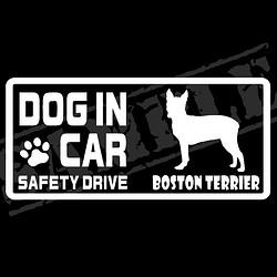 『DOG IN CAR ・SAFETY DRIVE・ボストンテリア①』ステッカー　8cm×17cm 1枚目の画像