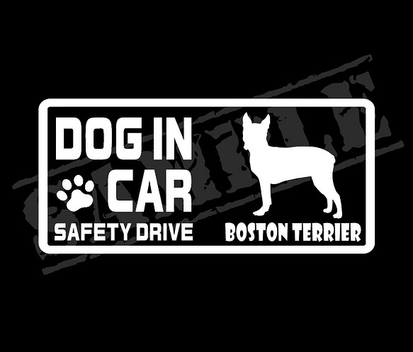 『DOG IN CAR ・SAFETY DRIVE・ボストンテリア①』ステッカー　8cm×17cm 1枚目の画像