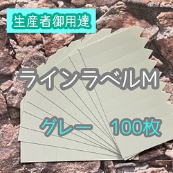 ラインラベル 中 グレー 100枚 園芸カラーラベル 多肉植物 エケベリア