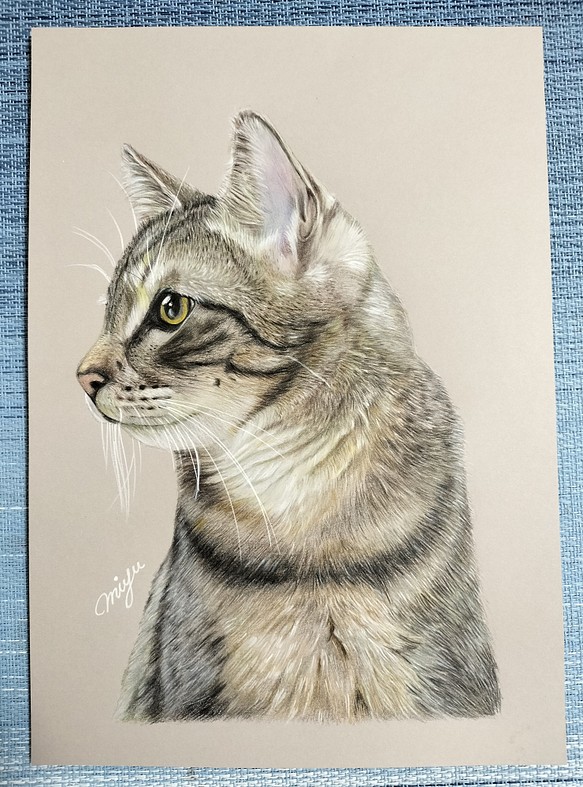色鉛筆画A4ハチワレ猫.93 - 絵画
