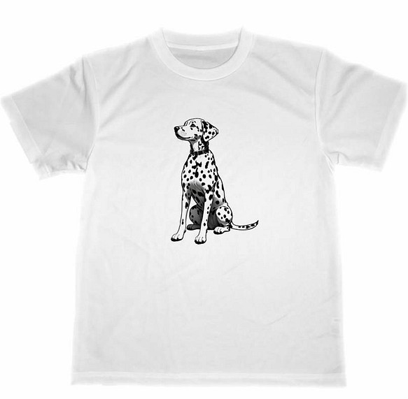 ダルメシアン　ドライ　Tシャツ　犬　ペット　グッズ　dalmatian 1枚目の画像