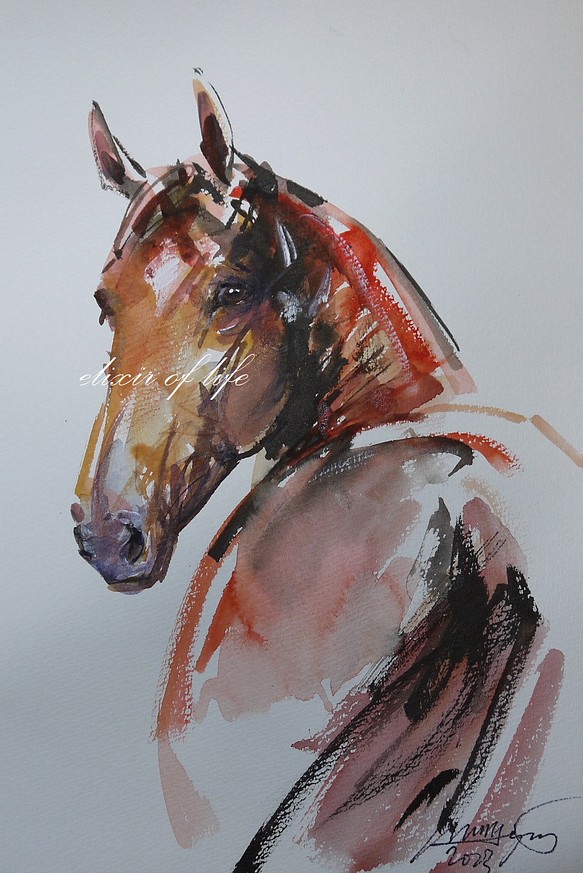 振り向く馬２０２３（水彩画用紙２８ｃｍ×２０ｃｍ、墨、水彩） 1枚目の画像