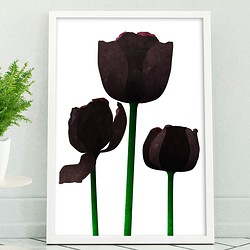 アートポスター/  Tulip : black　おしゃれインテリア・北欧、モノトーン好きの方に☆ 1枚目の画像