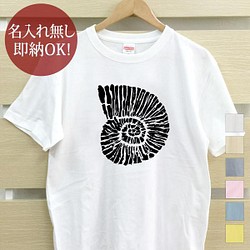 【全国送料無料】 アンモナイト 化石 レディース メンズ Tシャツ おもしろTシャツ 綿100% カラー7色 1枚目の画像