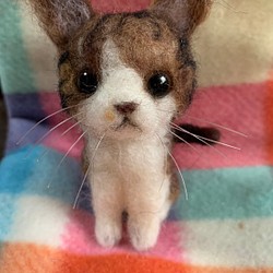 専用商品 羊毛フェルトハンドメイド猫ちゃん